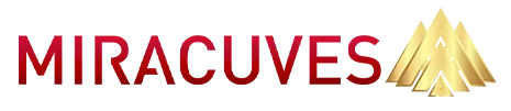 Miracuves IT Solutions, IT Services