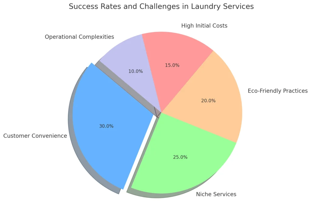 Success Rates and Challenges in Laundry Services