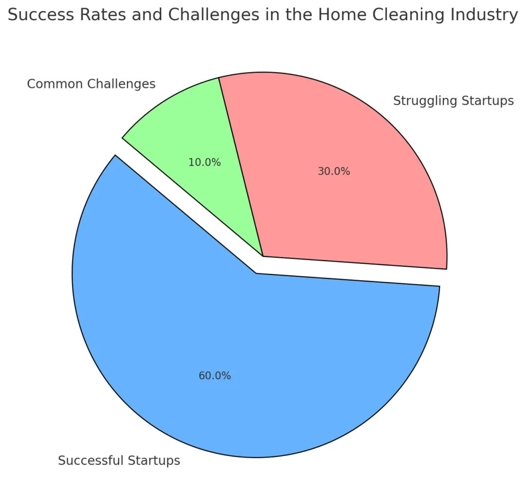 Success Rates and Challenges in the Home Cleaning Industry