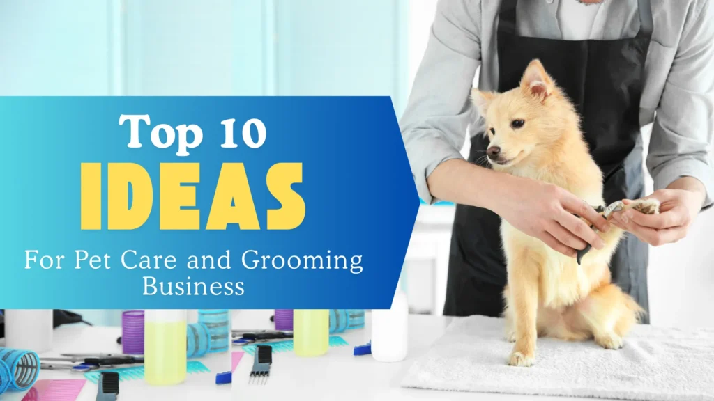 Top 10 High-Demand Ideas for Pet Care and Grooming Business Startup