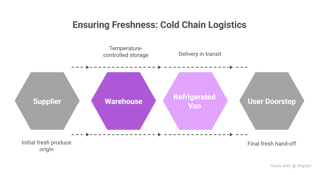 Cold Chain Logistics Flow