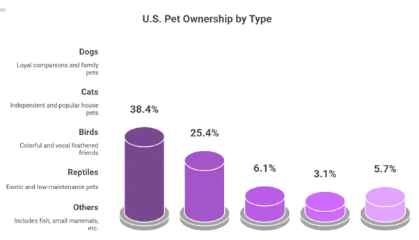 Pet Users by categories