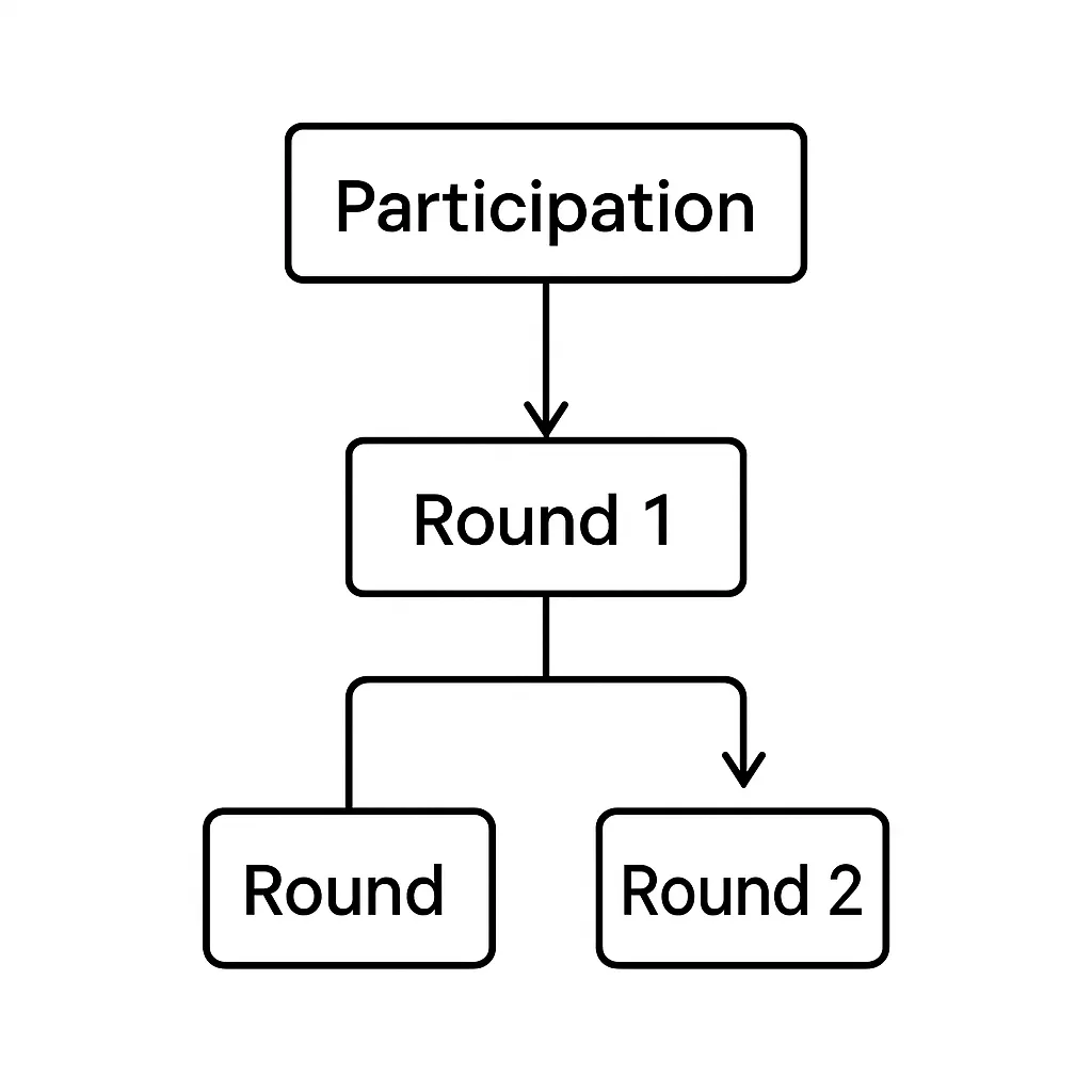 Simple flowchart illustrating participation process moving through Round 1, leading to Round 2 or another round option