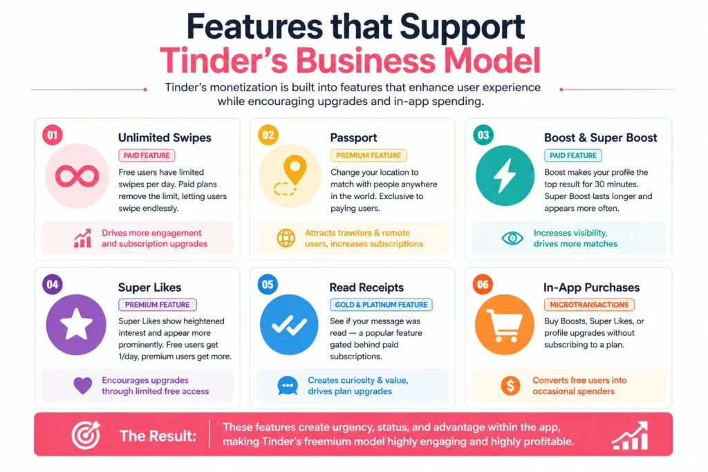 Business Model of Tinder : Key Features & Strategy 1 Infographic showing features that support Tinder’s business model, including unlimited swipes, Passport, Boosts, Super Likes, read receipts, and in-app purchases.