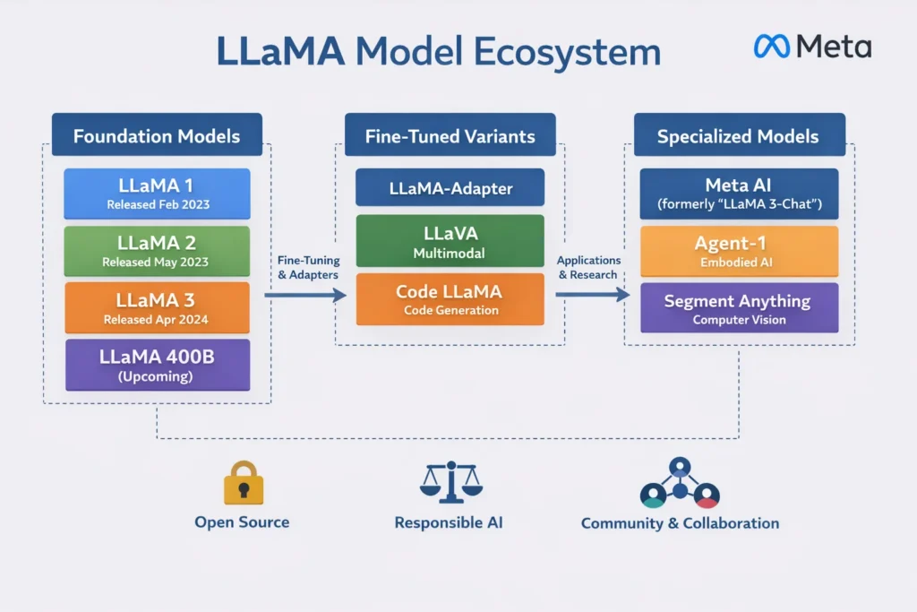 LLaMA model ecosystem infographic showing LLaMA 1, 2, 3, fine-tuned variants, and specialized models by Meta