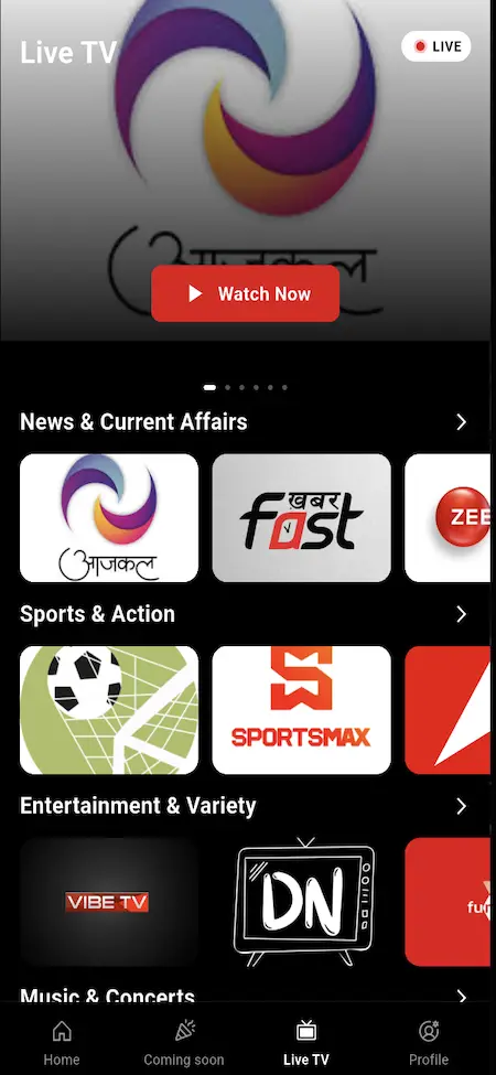 White Label Video Streaming Platform 20 Mobile live-TV guide organizing news, current affairs, sports, action, entertainment, and regional channels with watch-now access