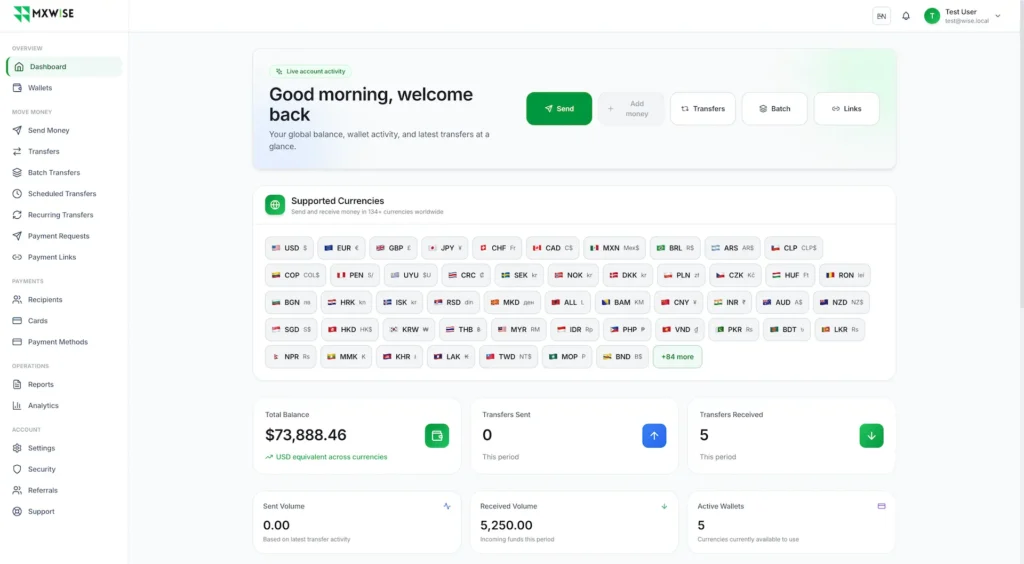 Wise Clone 50 MXWise-International-Money-Transfer-04-02-2026_10_04_AM