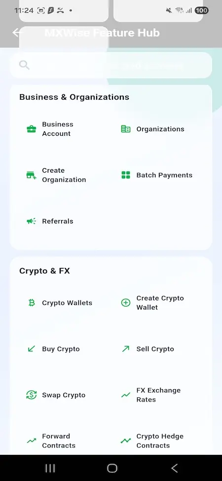 Wise Clone 23 Mobile business management dashboard displaying organization accounts, batch payments, referrals, crypto wallets, cryptocurrency trading, foreign exchange rates, and hedge contract tools.