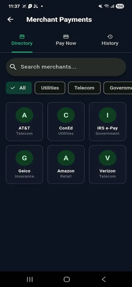 Wise Clone 20 Mobile merchant payments dashboard featuring merchant directory, bill payment options, utility providers, telecom services, government payments, and payment history tracking.