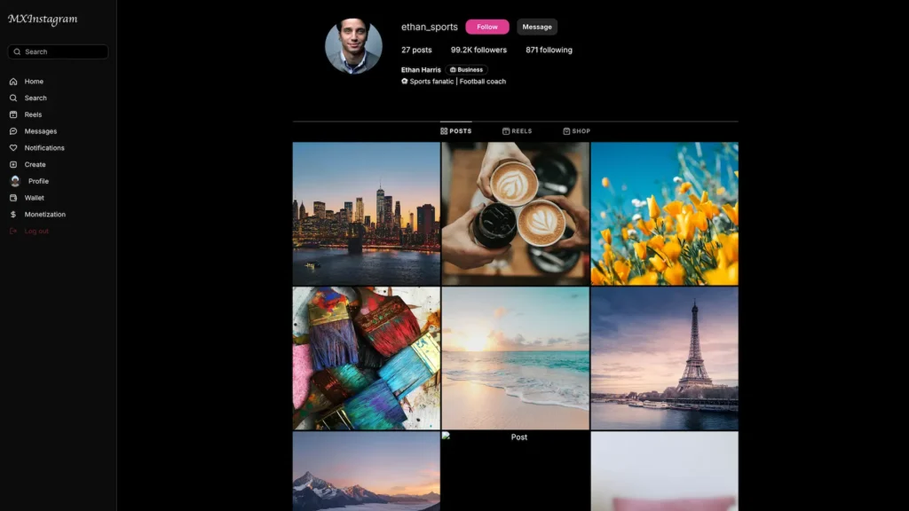 Instagram clone profile page showing posts, reels, shop, followers, and social media navigation