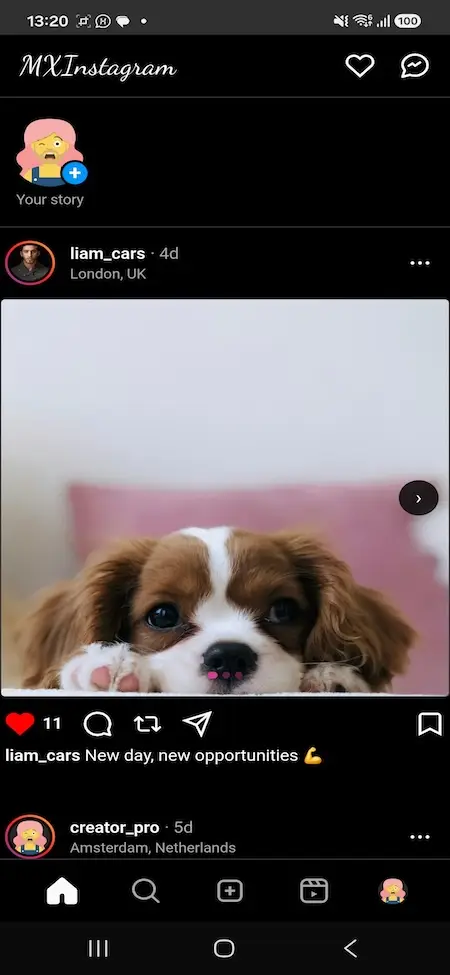 Screenshot 20260731 132033 MXInstagram